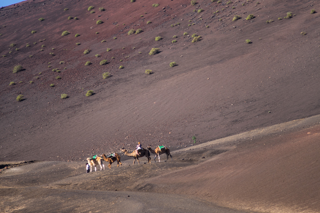 Asentadero de los Camellos